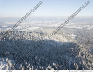 background winter nature forest 0010